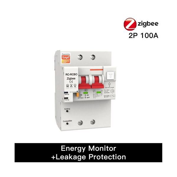 Imagen de Llave Electrica 2 Polos 100a Zigbee