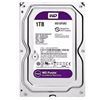 Imagen de Western Digital 1TB Purple Disco Duro WD10PURZ