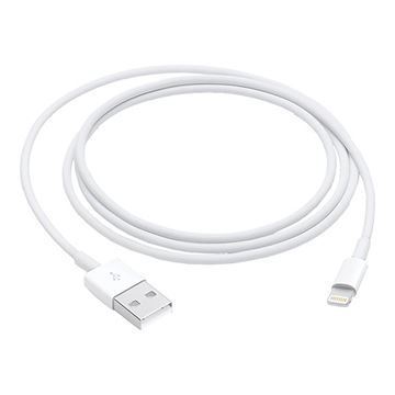 Imagen de Cable Lightning A Usb Apple 1m Bulk
