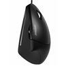 Imagen de Mouse Diestro Ergonómico Usb Perixx 513