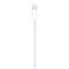 Imagen de Cable Lightning A Usb Apple Md819am/a 2m