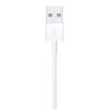 Imagen de Cable Lightning A Usb Apple Md819am/a 2m