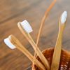 Imagen de Cepillo De Dientes Ecológico De Bambú  Soft 5u