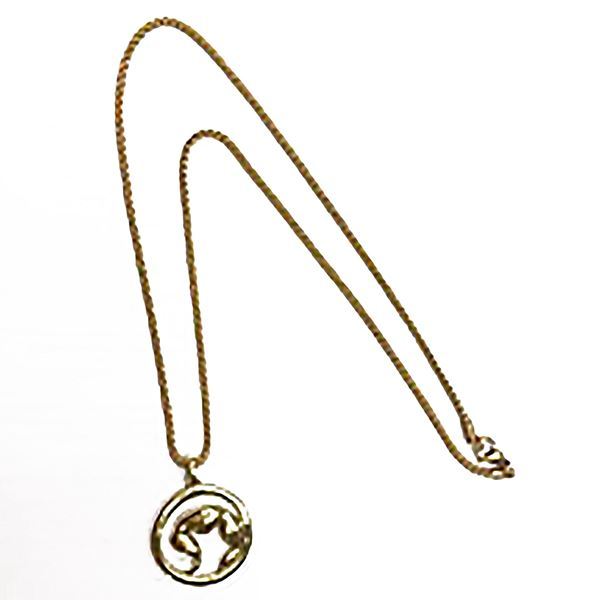 Imagen de Marketing Collar Marvo Br-01