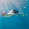 Imagen de Patas de Rana Long Floating FInis Talle XXS