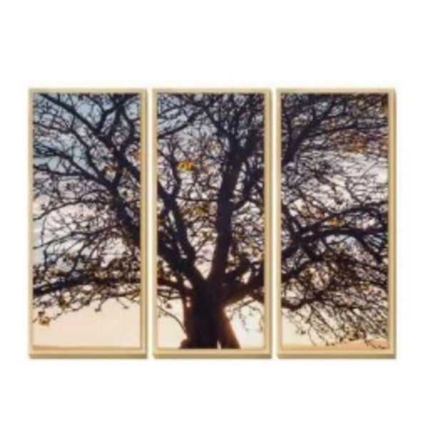 Imagen de Trio 10*25cm / Arbol de la Vida