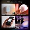 Imagen de Lámpara Led Inteligente Philips Hue Go 6,2W Blanco Y Color