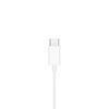 Imagen de Auriculares Apple Earpods Lightning Llamadas En Caja